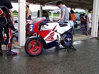 pic19