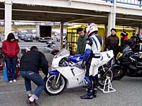 pic31
