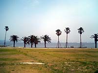 pic07