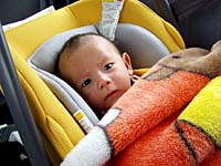 pic01